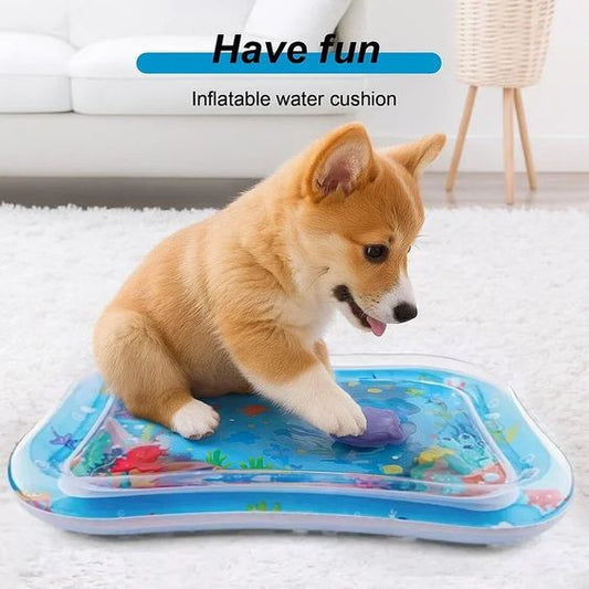Pet Water Sensory Play Mat