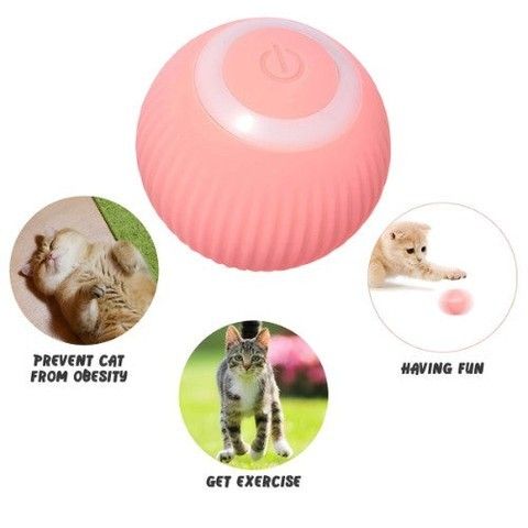 Pet Rolling Ball