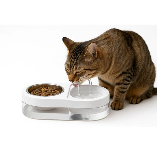 Pet Water Fountain with Bowl