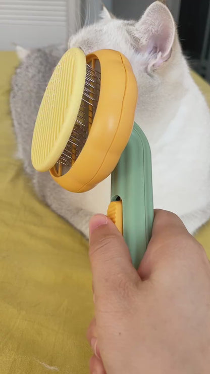 Pet Pumpkin Brush
