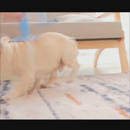 Dog Toothbrush Stick Dog Chew Tooth Cleaner