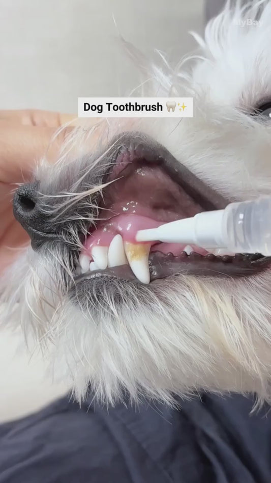 Dog Toothbrush