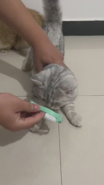 Cat Collar Toy with LED Lights