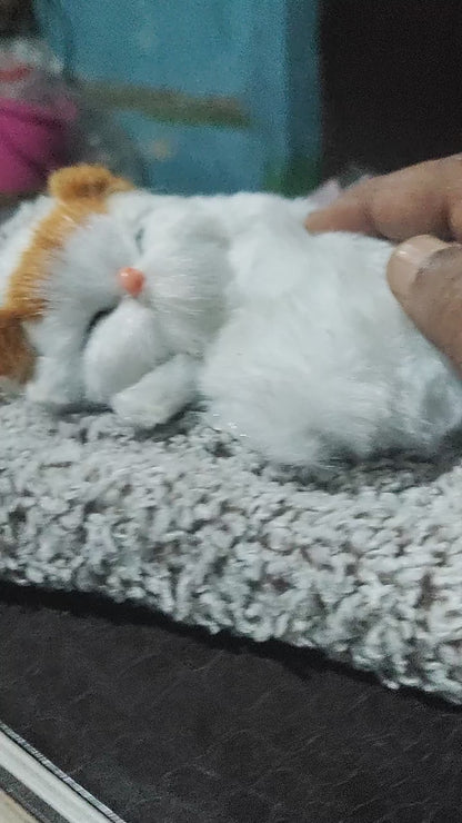 Sleeping Cat Toy