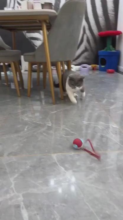 Pet Rolling Dancing Led Ball